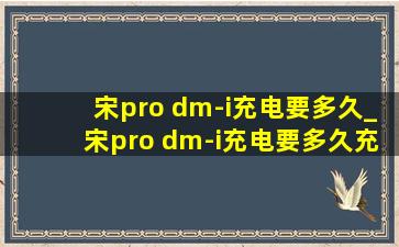 宋pro dm-i充电要多久_宋pro dm-i充电要多久充满